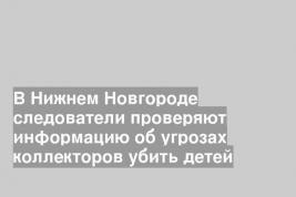 В Нижнем Новгороде следователи проверяют информацию об угрозах коллекторов убить детей