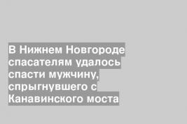 В Нижнем Новгороде спасателям удалось спасти мужчину, спрыгнувшего с Канавинского моста