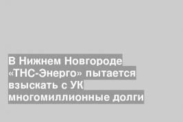 В Нижнем Новгороде «ТНС-Энерго» пытается взыскать с УК многомиллионные долги