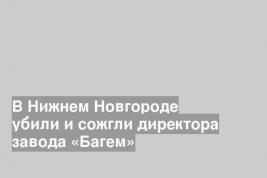 В Нижнем Новгороде убили и сожгли директора завода «Багем»