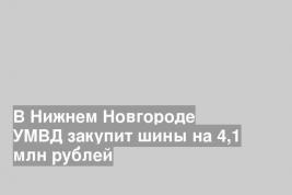 В Нижнем Новгороде УМВД закупит шины на 4,1 млн рублей