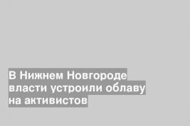 В Нижнем Новгороде власти устроили облаву на активистов
