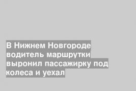 В Нижнем Новгороде водитель маршрутки выронил пассажирку под колеса и уехал