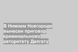 В Нижнем Новгороде вынесен приговор криминальному авторитету Далгату