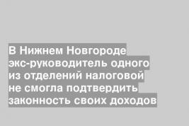 В Нижнем Новгороде экс-руководитель одного из отделений налоговой не смогла подтвердить законность своих доходов