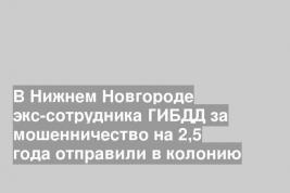 В Нижнем Новгороде экс-сотрудника ГИБДД за мошенничество на 2,5 года отправили в колонию