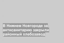 В Нижнем Новгороде за антисанитарию закрыли районный хлебозавод