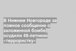 В Нижнем Новгороде за ложное сообщение о заложенной бомбе осудили 49-летнюю «террористку»