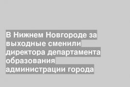 В Нижнем Новгороде за выходные сменили директора департамента образования администрации города