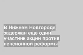В Нижнем Новгороде задержан еще один участник акции против пенсионной реформы