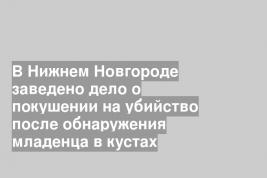В Нижнем Новгороде заведено дело о покушении на убийство после обнаружения младенца в кустах