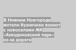 В Нижнем Новгороде жители Кузнечихи воюют с новоселами ЖК «Анкудиновский парк» из-за дороги