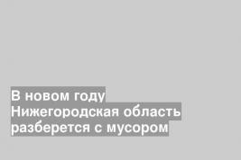 В новом году Нижегородская область разберется с мусором