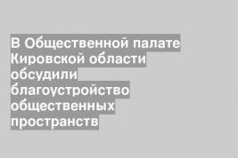 В Общественной палате Кировской области обсудили благоустройство общественных пространств