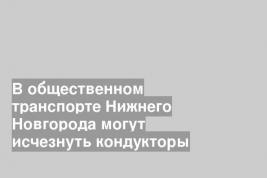 В общественном транспорте Нижнего Новгорода могут исчезнуть кондукторы