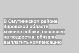 В Омутнинском районе Кировской области хозяина собаки, напавшей на подростка, обязали выплатить компенсацию