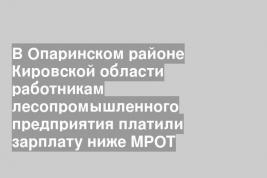 В Опаринском районе Кировской области работникам лесопромышленного предприятия платили зарплату ниже МРОТ