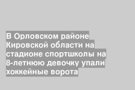 В Орловском районе Кировской области на стадионе спортшколы на 8-летнюю девочку упали хоккейные ворота