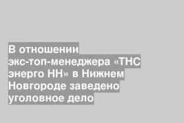 В отношении экс-топ-менеджера «ТНС энерго НН» в Нижнем Новгороде заведено уголовное дело