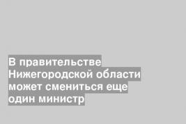 В правительстве Нижегородской области может смениться еще один министр