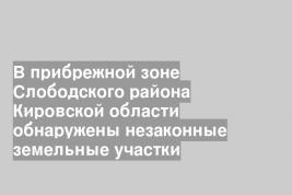 В прибрежной зоне Слободского района Кировской области обнаружены незаконные земельные участки