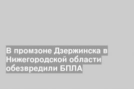 В промзоне Дзержинска в Нижегородской области обезвредили БПЛА