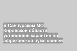 В Санчурском МО Кировской области установлен карантин по африканской чуме свиней