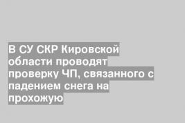 В СУ СКР Кировской области проводят проверку ЧП, связанного с падением снега на прохожую
