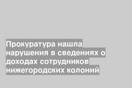 Прокуратура нашла нарушения в сведениях о доходах сотрудников нижегородских колоний