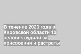 В течение 2023 года в Кировской области 12 человек судили за присвоения и растраты