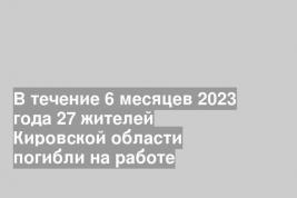 В течение 6 месяцев 2023 года 27 жителей Кировской области погибли на работе