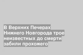 В Верхних Печерах Нижнего Новгорода трое неизвестных до смерти забили прохожего