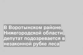 В Воротынском районе Нижегородской области депутат подозревается в незаконной рубке леса