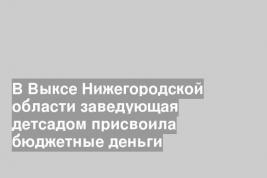 В Выксе Нижегородской области заведующая детсадом присвоила бюджетные деньги