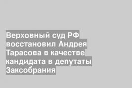 Верховный суд РФ восстановил Андрея Тарасова в качестве кандидата в депутаты Заксобрания