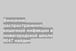 Виновник распространения кишечной инфекции в нижегородской школе №47 найден