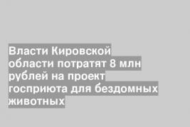 Власти Кировской области потратят 8 млн рублей на проект госприюта для бездомных животных