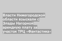 Власти Нижегородской области взыскали с Элады Нагорной арендную плату за участок ТРЦ «Фантастика»