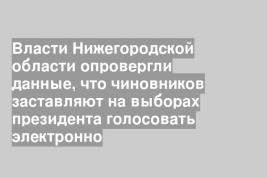 Власти Нижегородской области опровергли данные, что чиновников заставляют на выборах президента голосовать электронно
