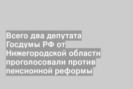 Всего два депутата Госдумы РФ от Нижегородской области проголосовали против пенсионной реформы