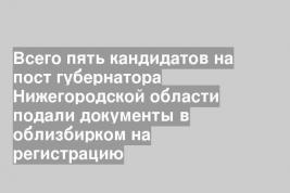 Всего пять кандидатов на пост губернатора Нижегородской области подали документы в облизбирком на регистрацию