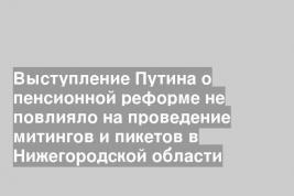 Выступление Путина о пенсионной реформе не повлияло на проведение митингов и пикетов в Нижегородской области