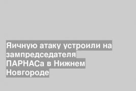 Яичную атаку устроили на зампредседателя ПАРНАСа в Нижнем Новгороде