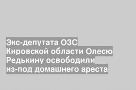 Экс-депутата ОЗС Кировской области Олесю Редькину освободили из-под домашнего ареста