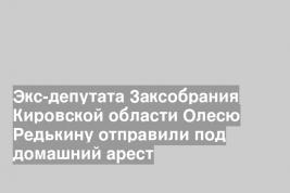 Экс-депутата Заксобрания Кировской области Олесю Редькину отправили под домашний арест