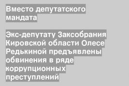 Экс-депутату Заксобрания Кировской области Олесе Редькиной предъявлены обвинения в ряде коррупционных преступлений