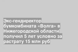 Экс-гендиректор бумкомбината «Волга» в Нижегородской области получил 5 лет условно за растрату 15 млн руб
