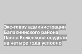 Экс-главу администрации Балахнинского района Павла Коженкова осудили на четыре года условно
