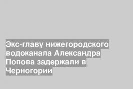 Экс-главу нижегородского водоканала Александра Попова задержали в Черногории