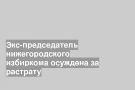 Экс-председатель нижегородского избиркома осуждена за растрату